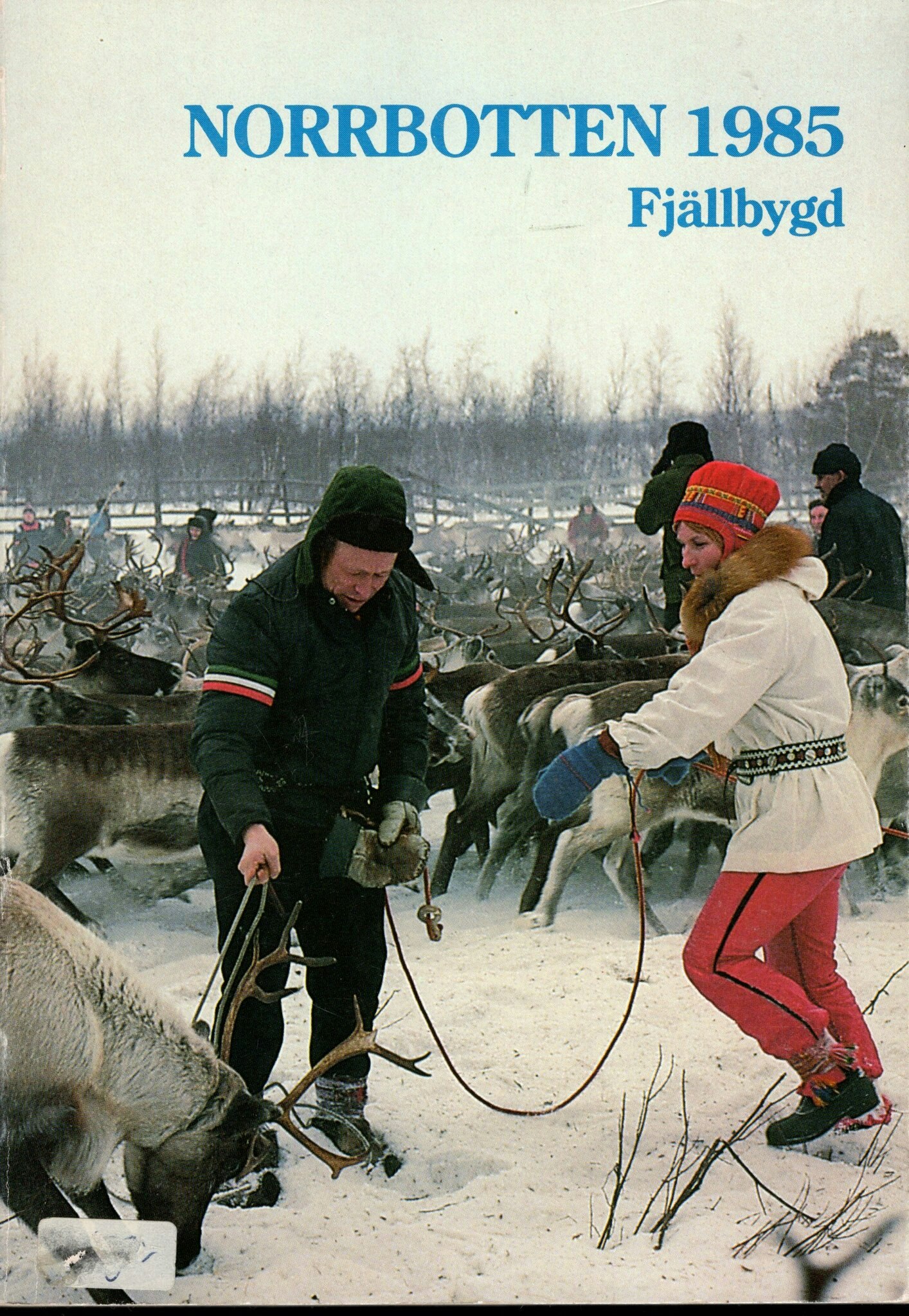 Norrbotten 1985. Fjällbygd