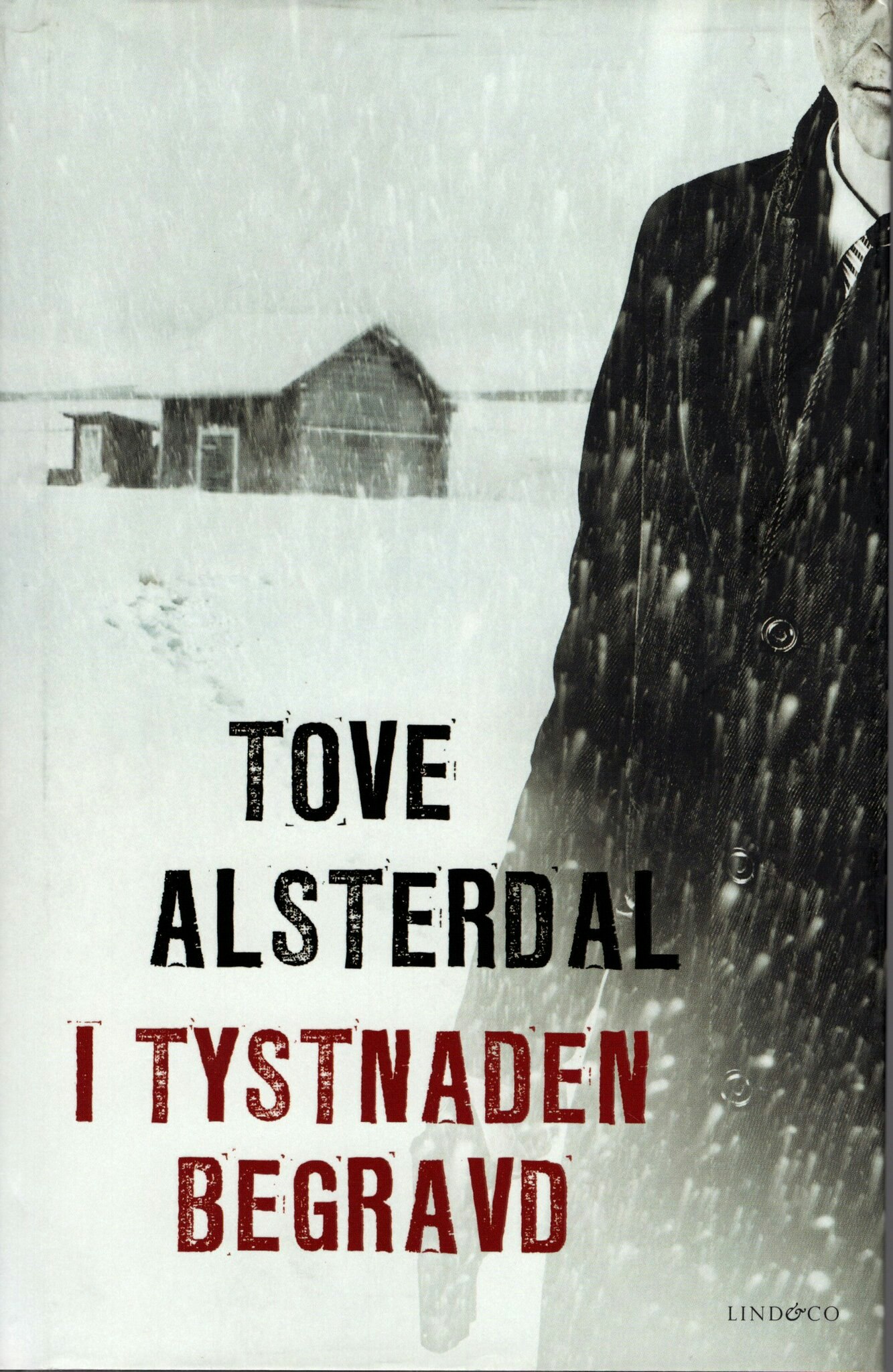 I tystnaden begravd av Tove Alsterdal