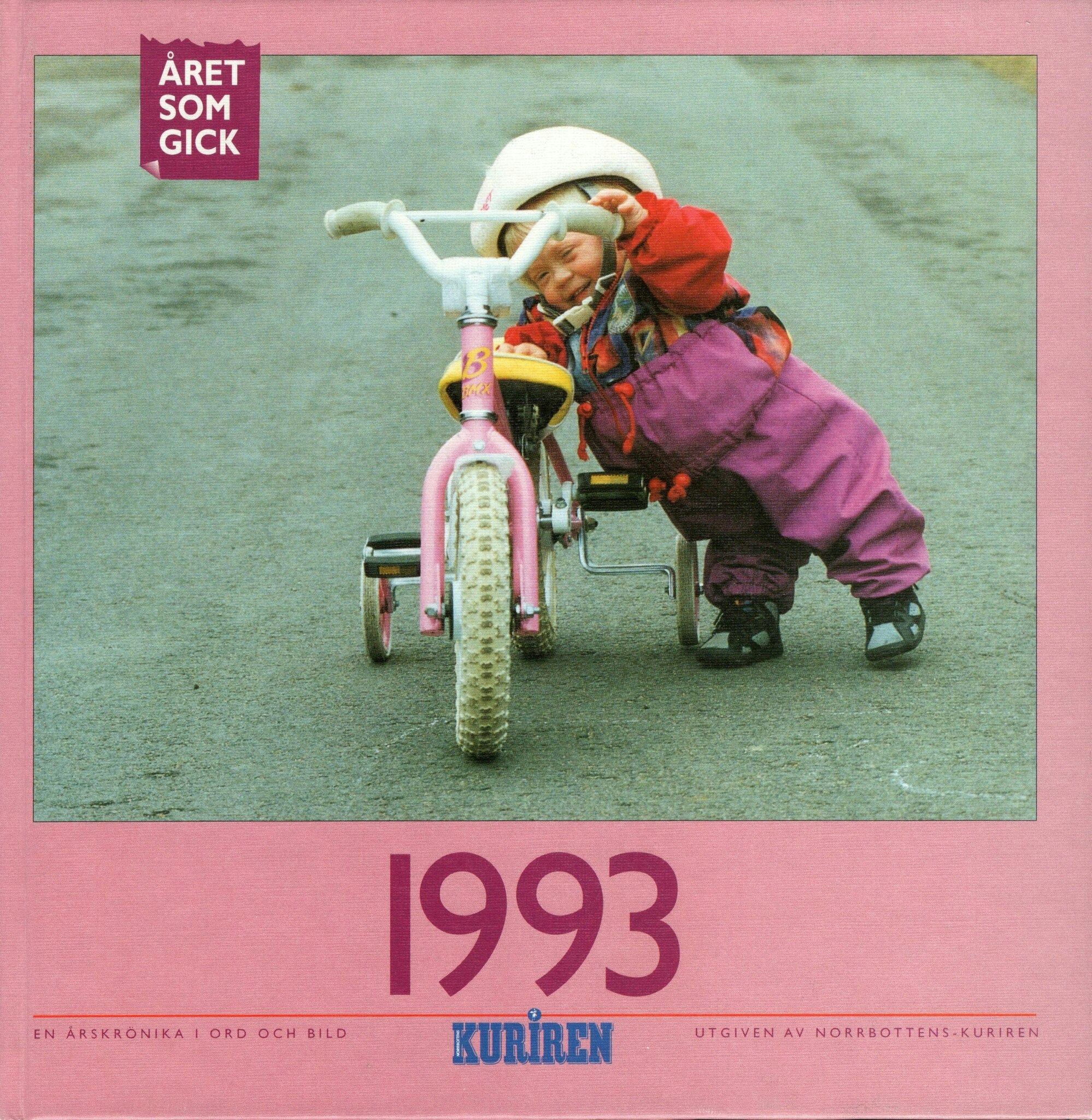 Året som gick 1993