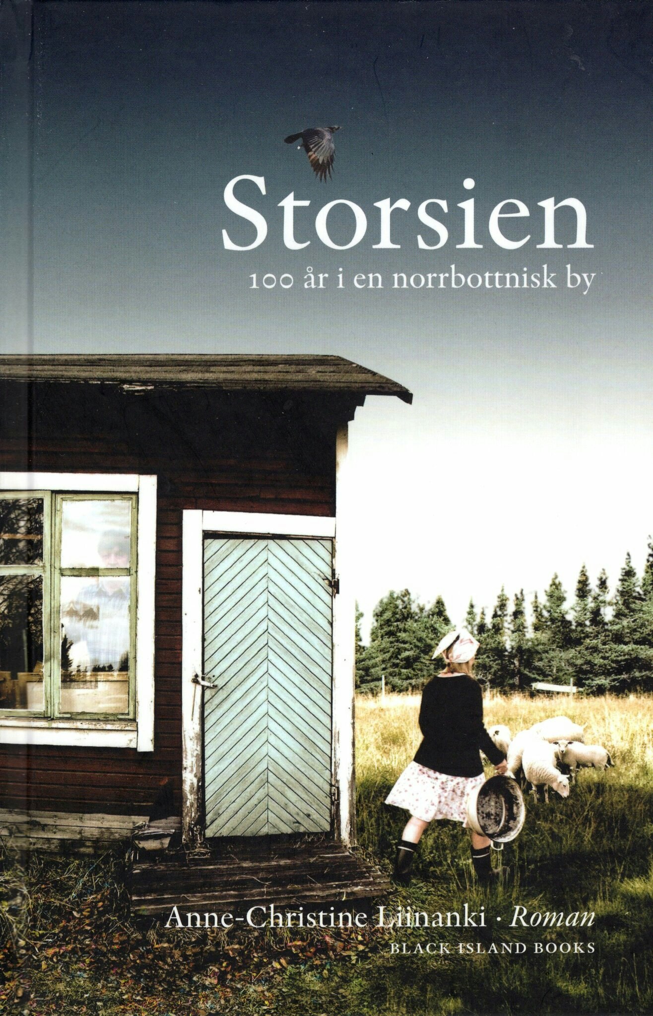 Storsien. 100 år i en norrbottnisk by av Anne-Christine Liinanki