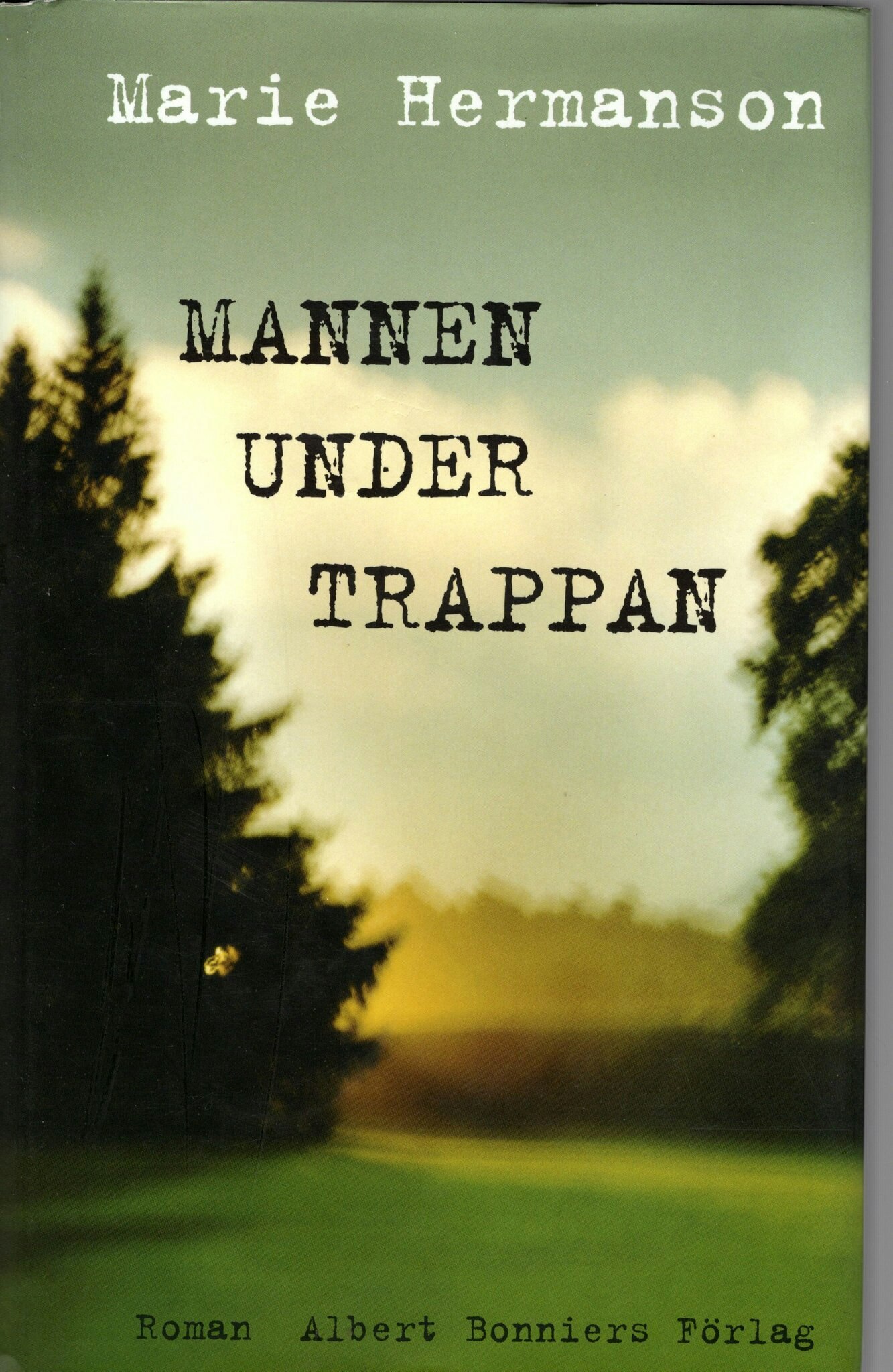 Mannen under trappan av Marie Hermanson