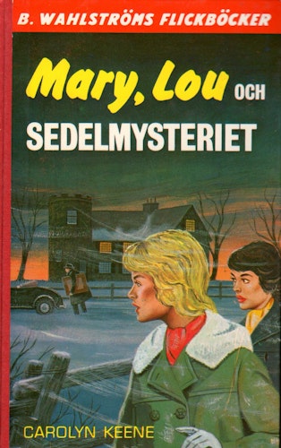 Mary, Lou och sedelmysteriet av Carolyn Keene