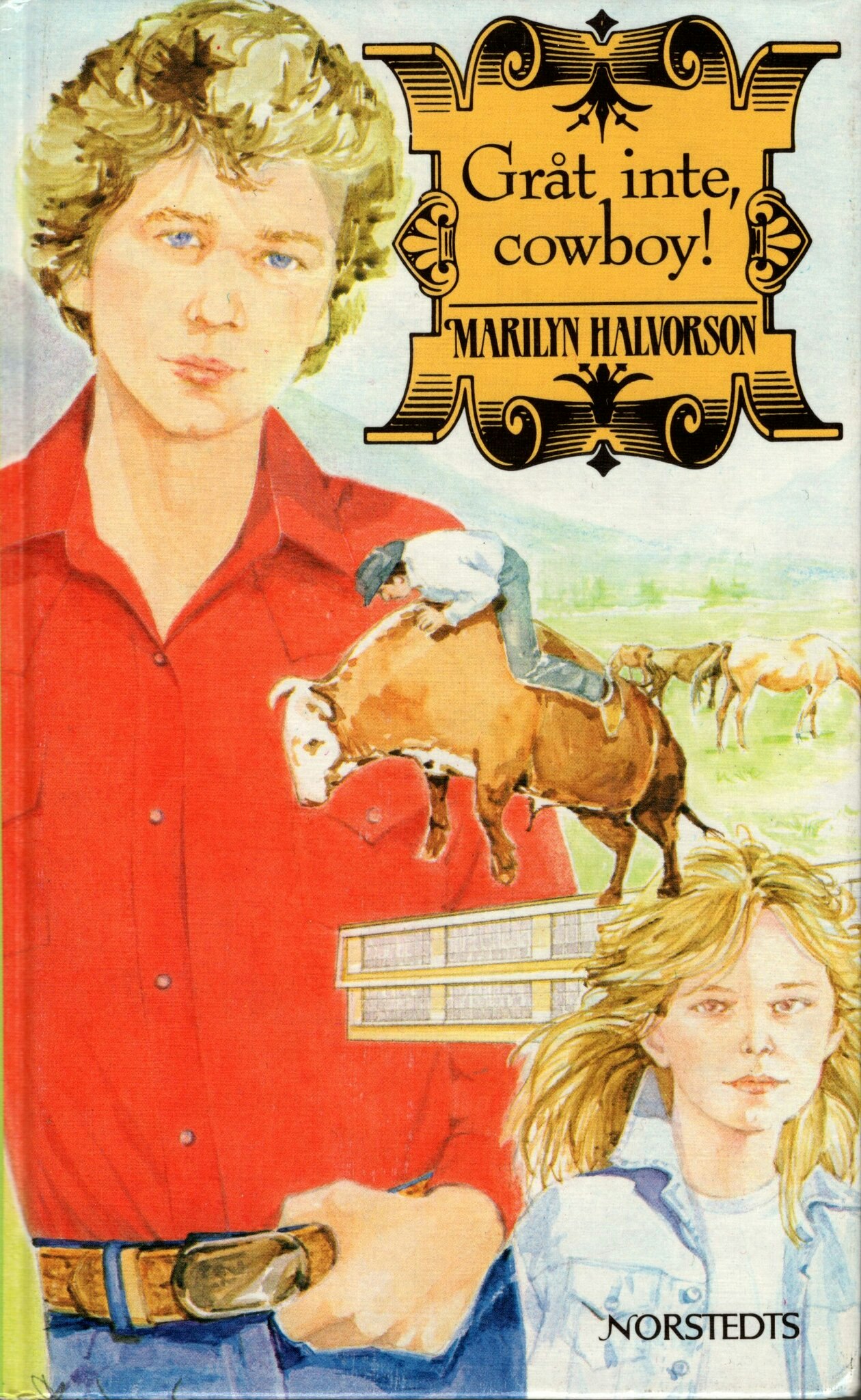Gråt inte, cowboy av Marilyn Halvorson