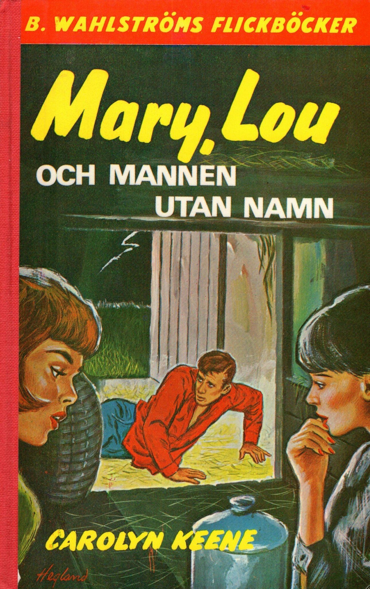 Mary, Lou och mannen utan namn av Carolyn Keene