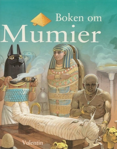 Boken om mumier av Philip Steele