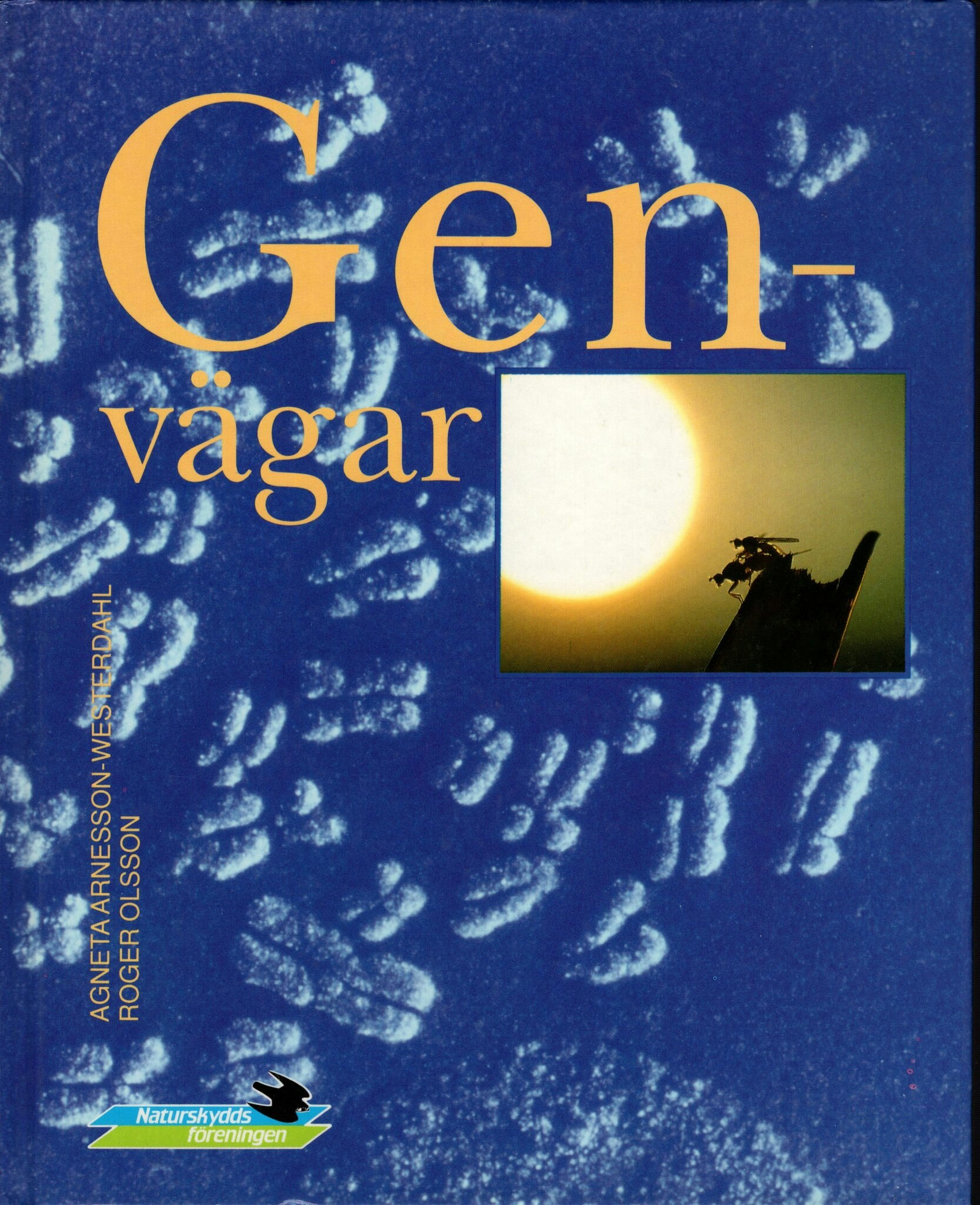 Genvägar Naturskyddsföreningens årsbok 1992 av Agneta Arnesson-Westerdahl och Roger Olsson
