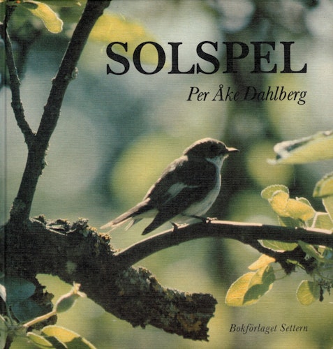 Solspel av Per Åke Dahlberg
