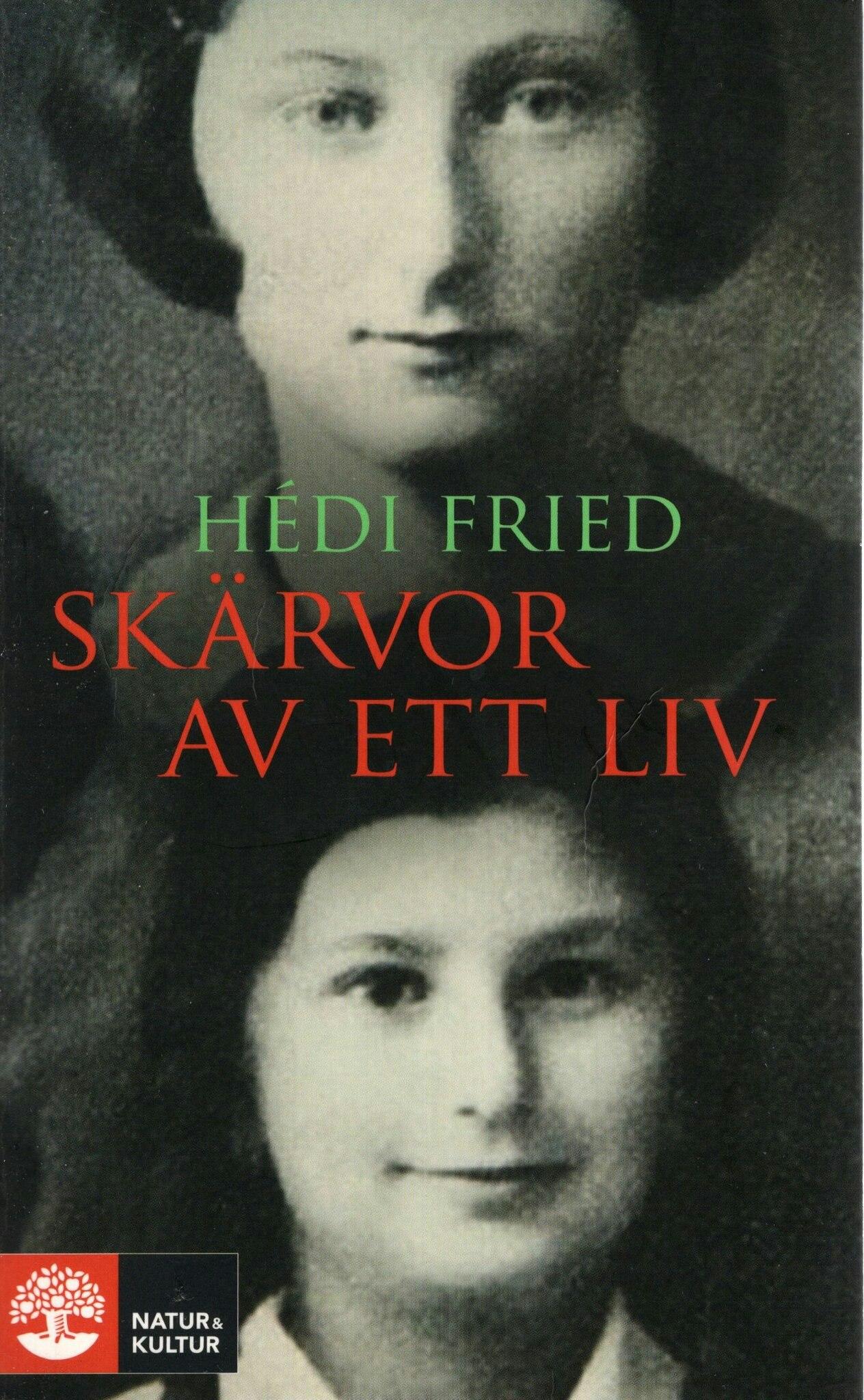 Skärvor av ett liv. Vägen till och från Auschwitz av Hédi Fried