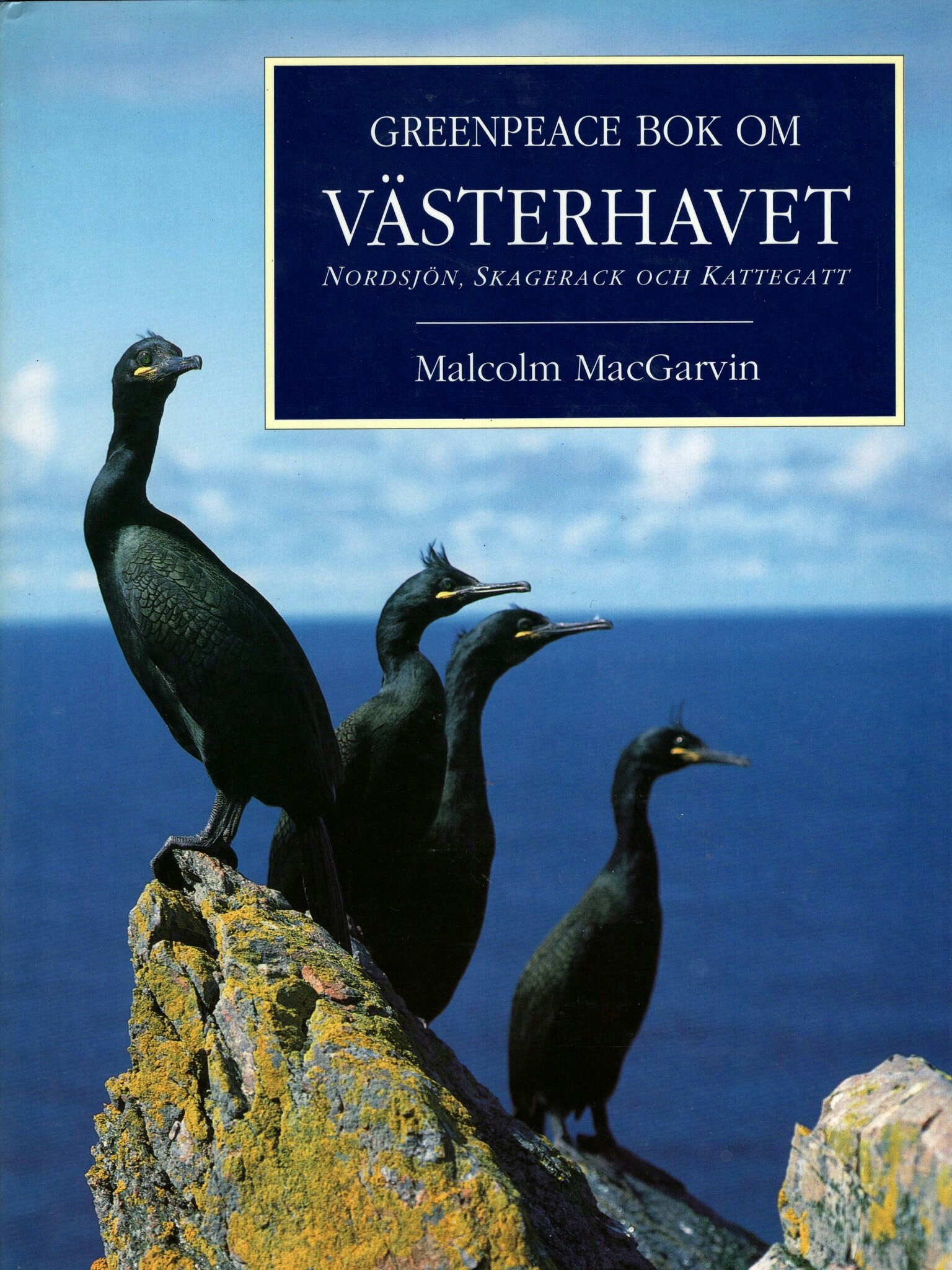 Greenpeace bok om Västerhavet. Nordsjön, Skagerack och Kattegatt av Malcolm MacGarvin