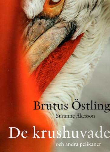 De krushuvade och andra pelikaner av Brutus Östling och Susanne Åkesson