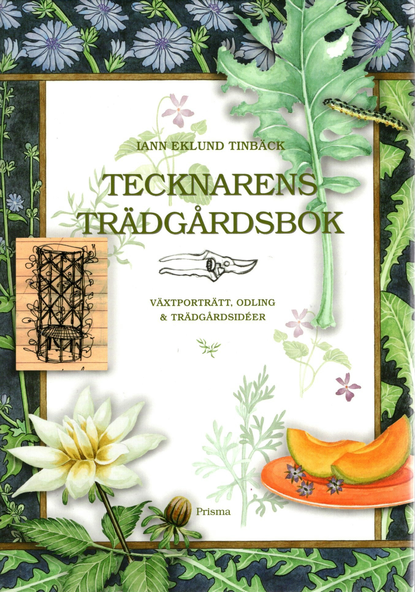 Tecknarens trädgårdsbok. Växtporträtt, odling & trädgårdsidéer av Iann Eklund Tinbäck
