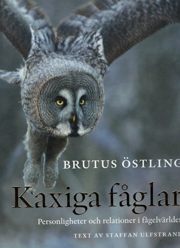 Kaxiga fåglar. Personligheter och relationer i fågelvärlden av Brutus Östling och Staffan Ulfstrand