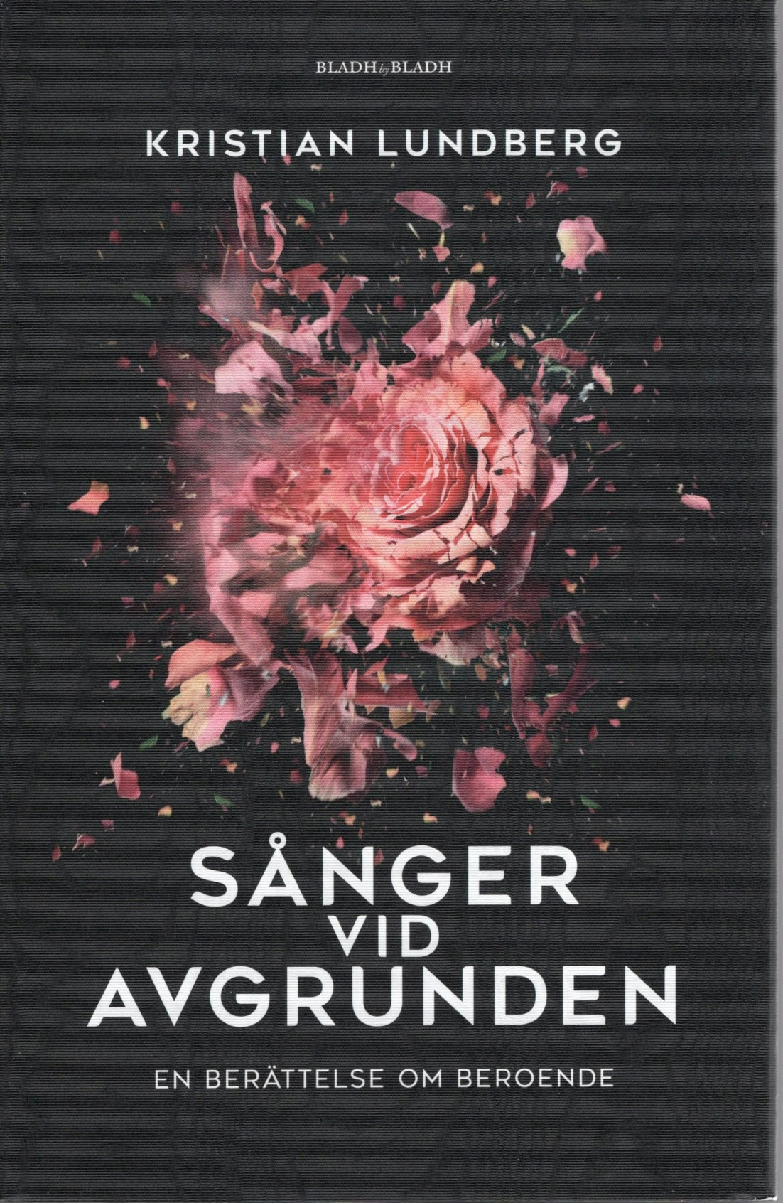 Sånger vid avgrunden: En berättelse om beroende av Kristian Lundberg
