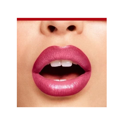 Bourjois Duo Sculpt Lipstick 05 Mi Figue-Mi Raisin