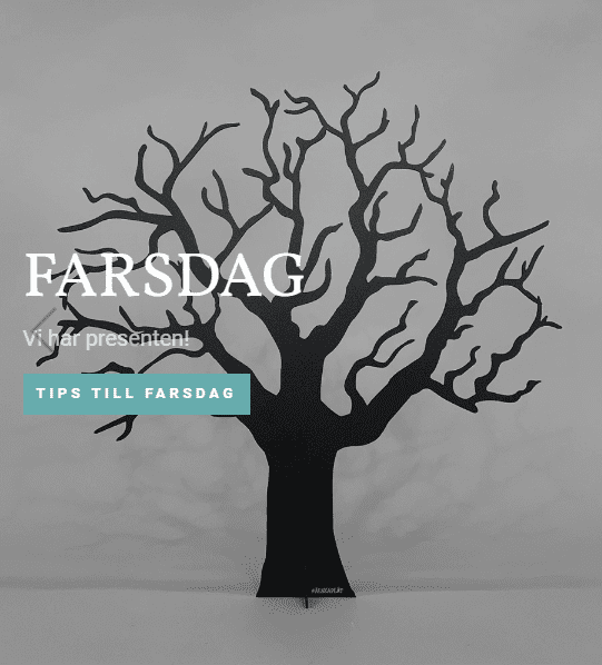 Fars dag - 13 november 2022