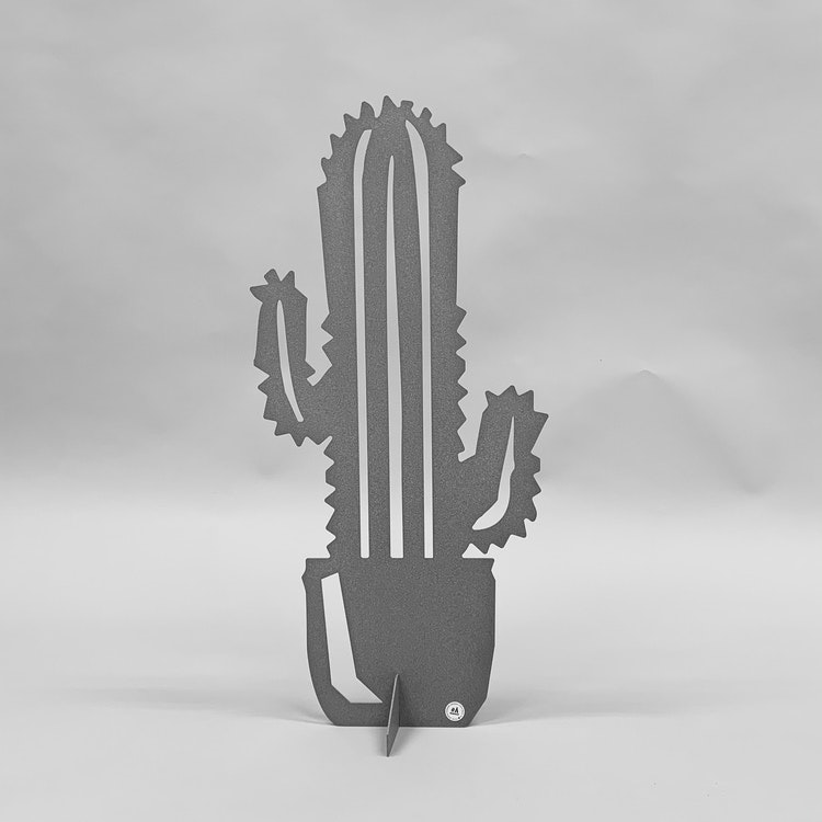 Cactus - big