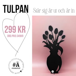 Tulpan - TULLI