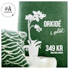 Orkidé - ETERNITY