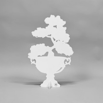 Bonsai tree