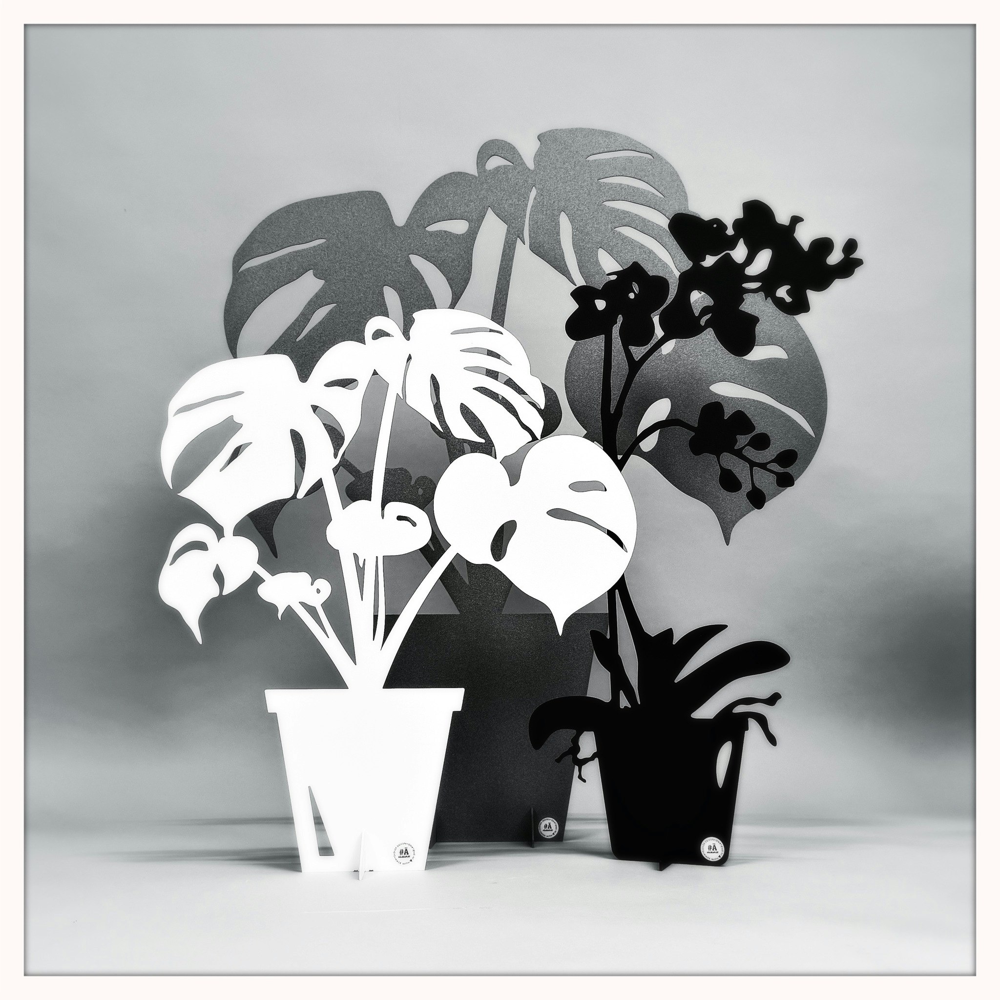 Paket - Stor monstera, Liten monstera & Orkidé