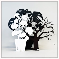 Paket - Stor monstera, Ödeträd & Stor Pelargon