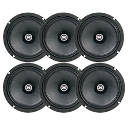 Excursion 8" 6-pack