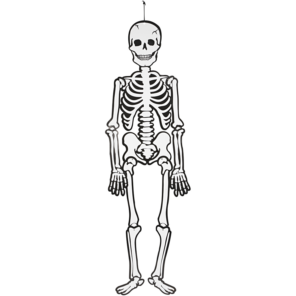 Skelett, H: 120 cm, 300 g, vit, 1 st.