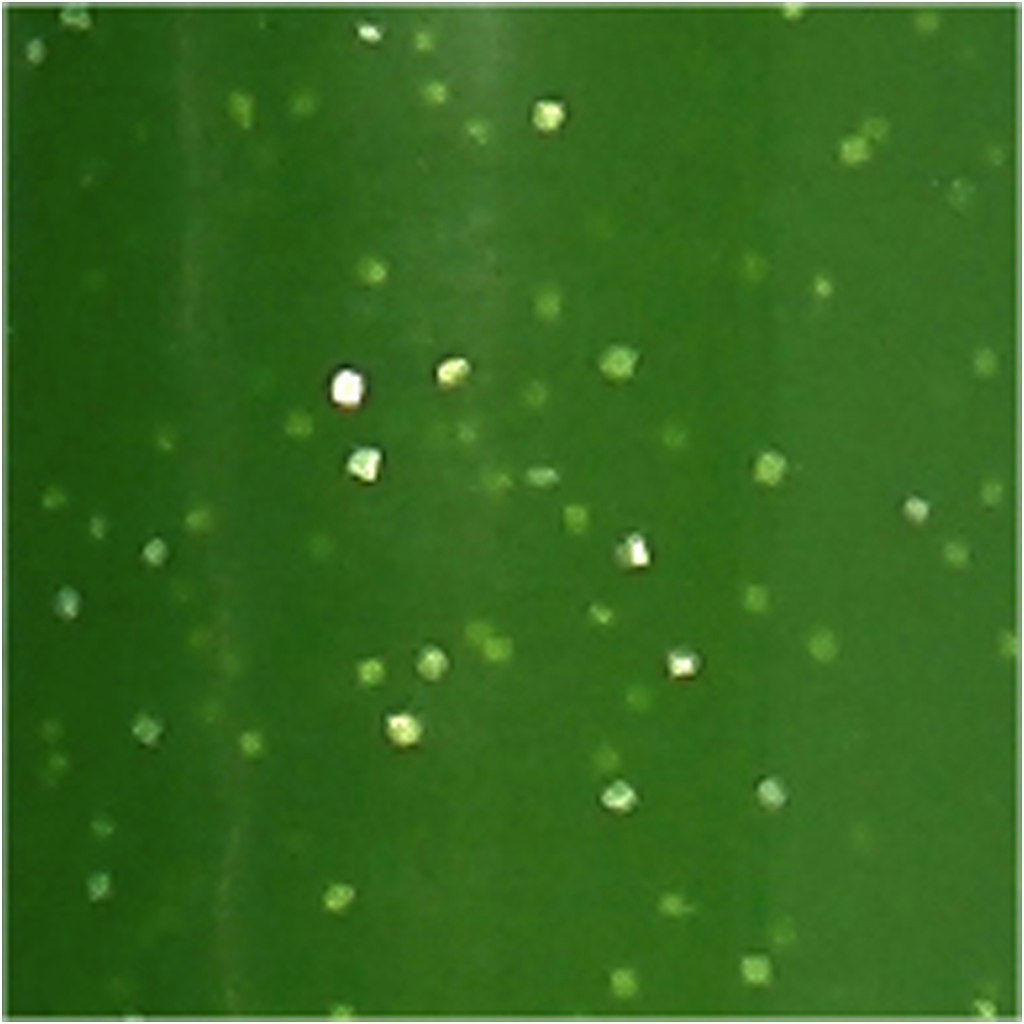 Glas- och porslinstusch, glitter, spets 2-4 mm, semi opaque, ljusgrön, 1 st.
