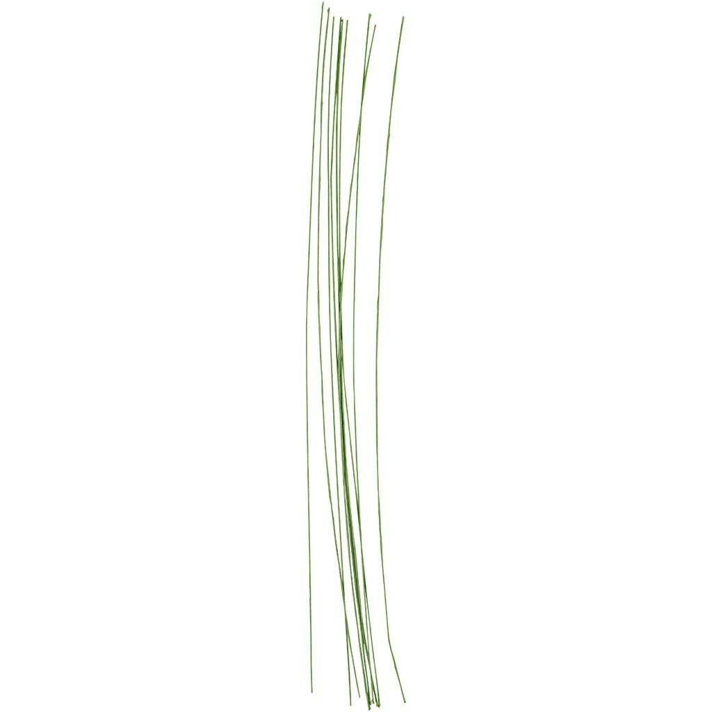 Blomstjälkar, L: 30 cm, Dia. 0,6 mm, grön, 20 st./ 1 förp.