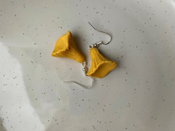 Kantareller