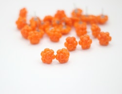 Hjortron (studs)