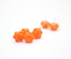 Hjortron (studs)