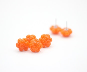 Hjortron (studs)