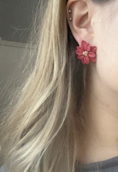 Julstjärnor studs