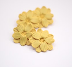 Studs blommor (gul)