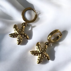 Hoops sjöstjärna (guld)