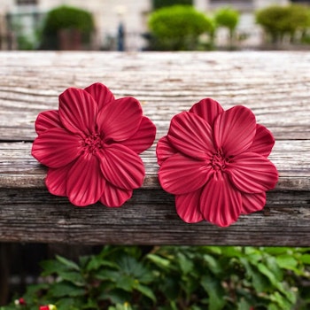 Större blommor studs (hallon)