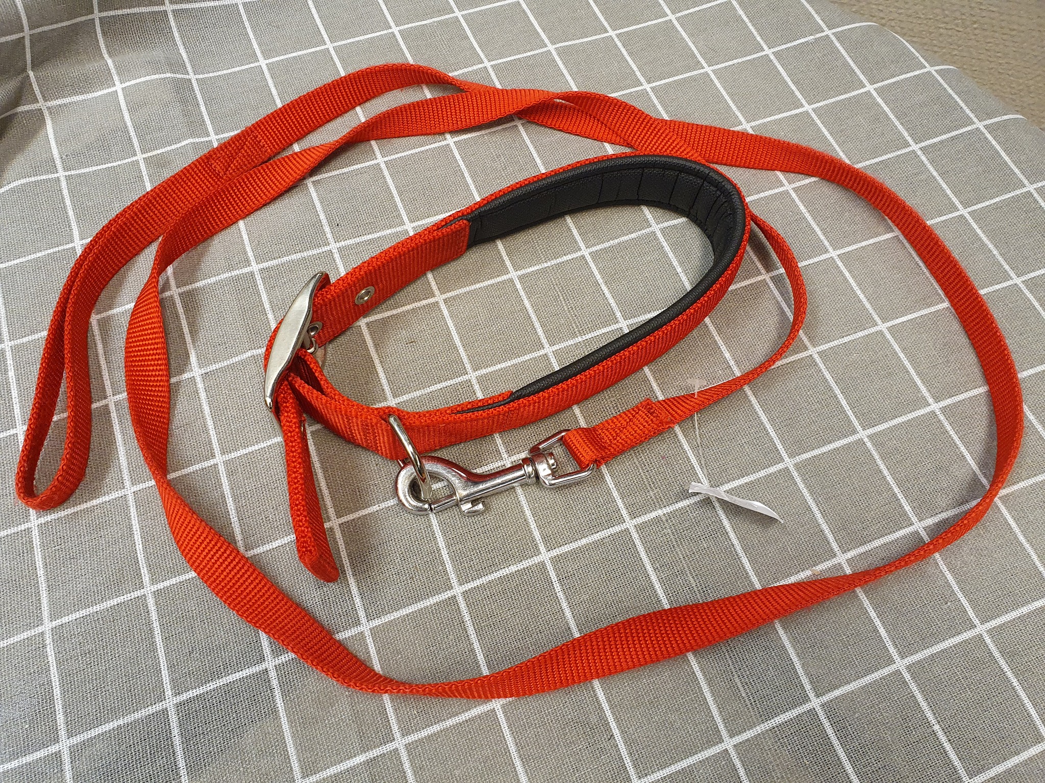 Halsband 42-50cm med koppel 1,60m