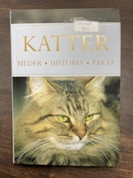 Katter