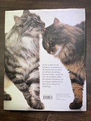 Bonniers stora bok om katter