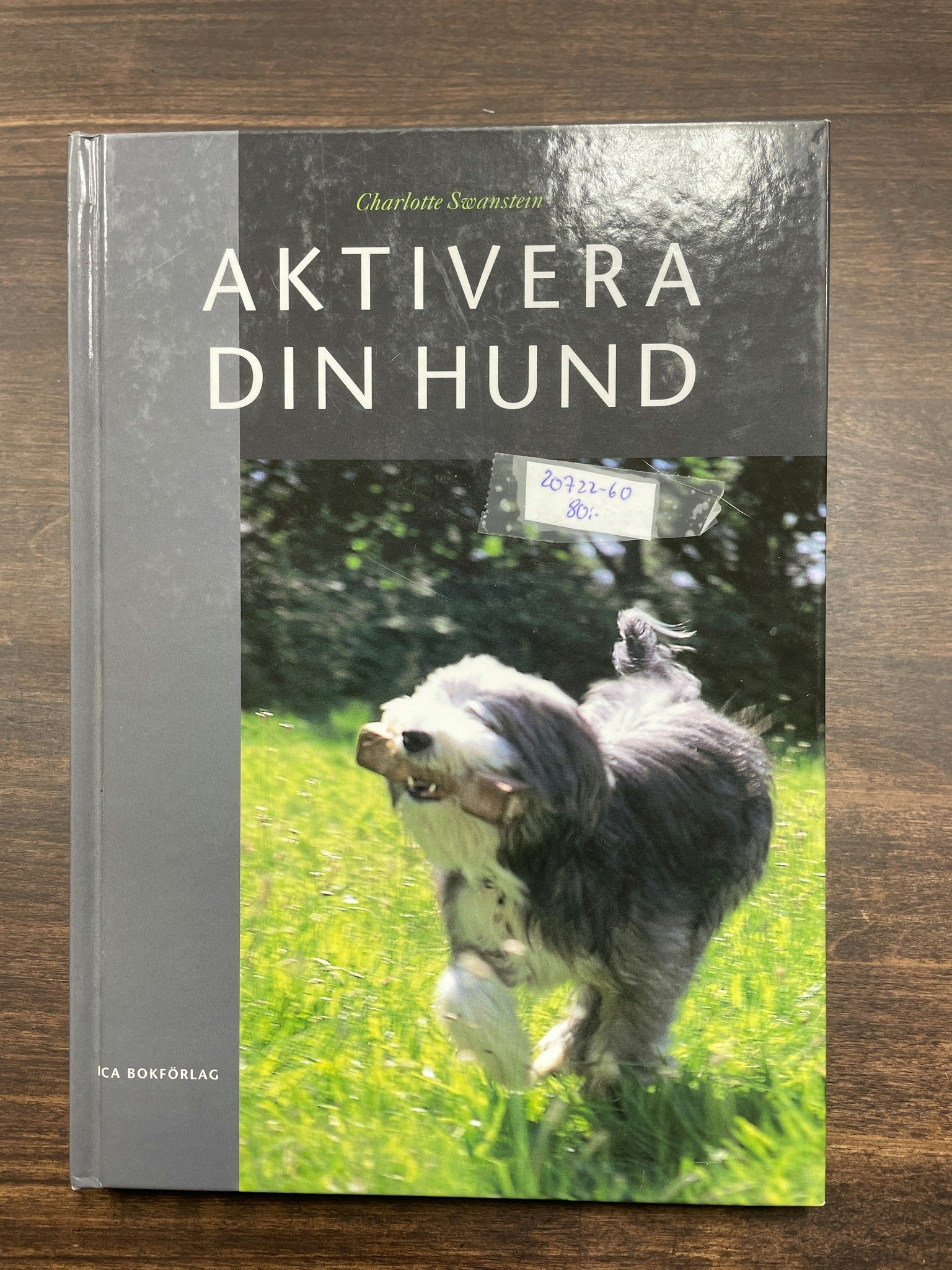 Aktivera din hund