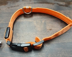 Halsband med lampa, ställbart ca 29- 48cm