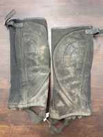 Jacson shortchaps, 8År