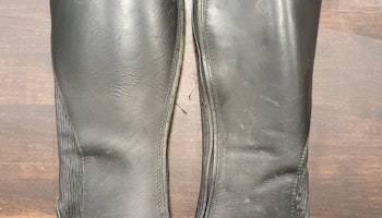 Svarta shortchaps, längd 39cm