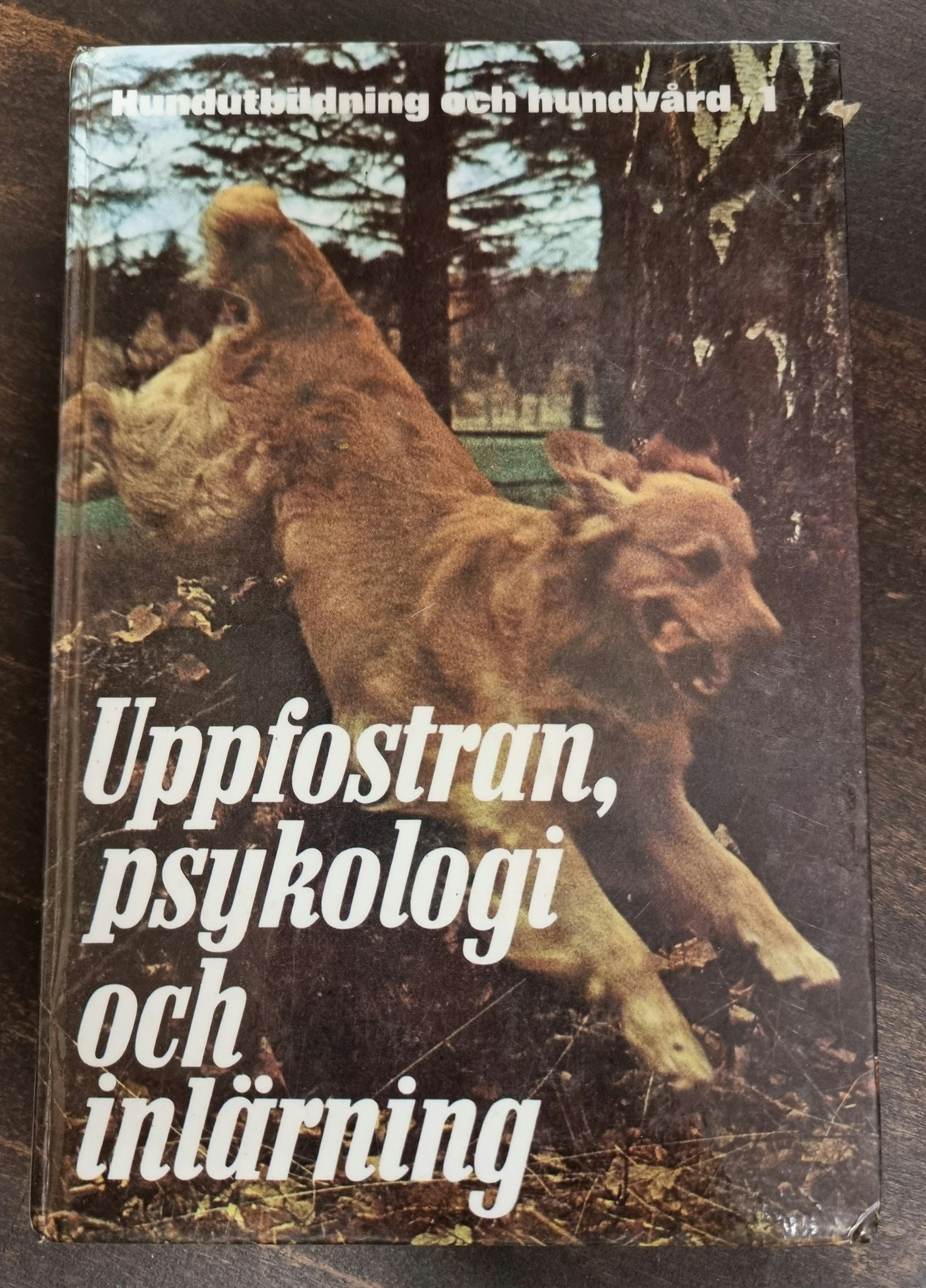 Uppfostran, Psykologi och Inlärning