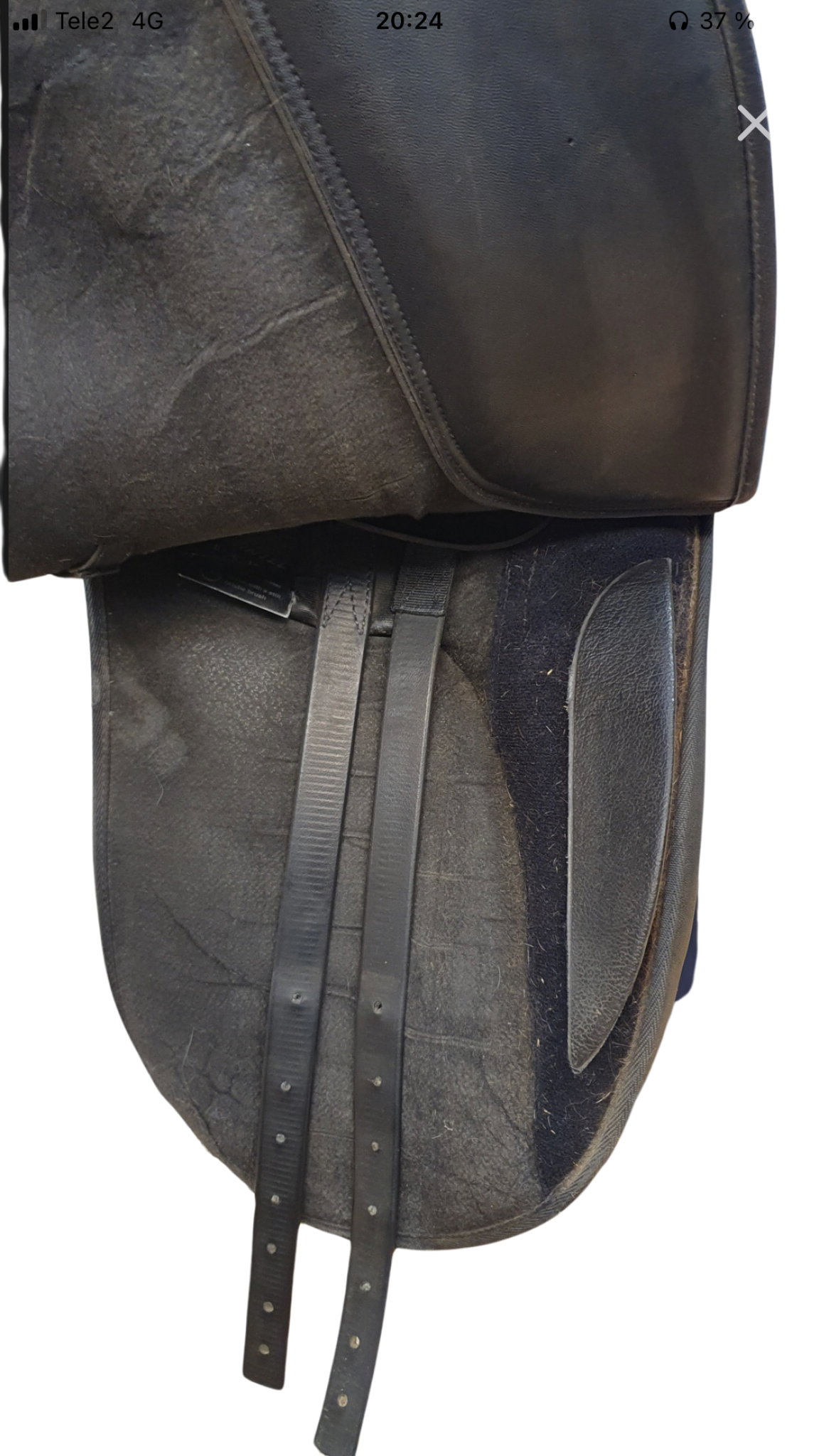 Wintec Bates, Dressyr, 16,5"