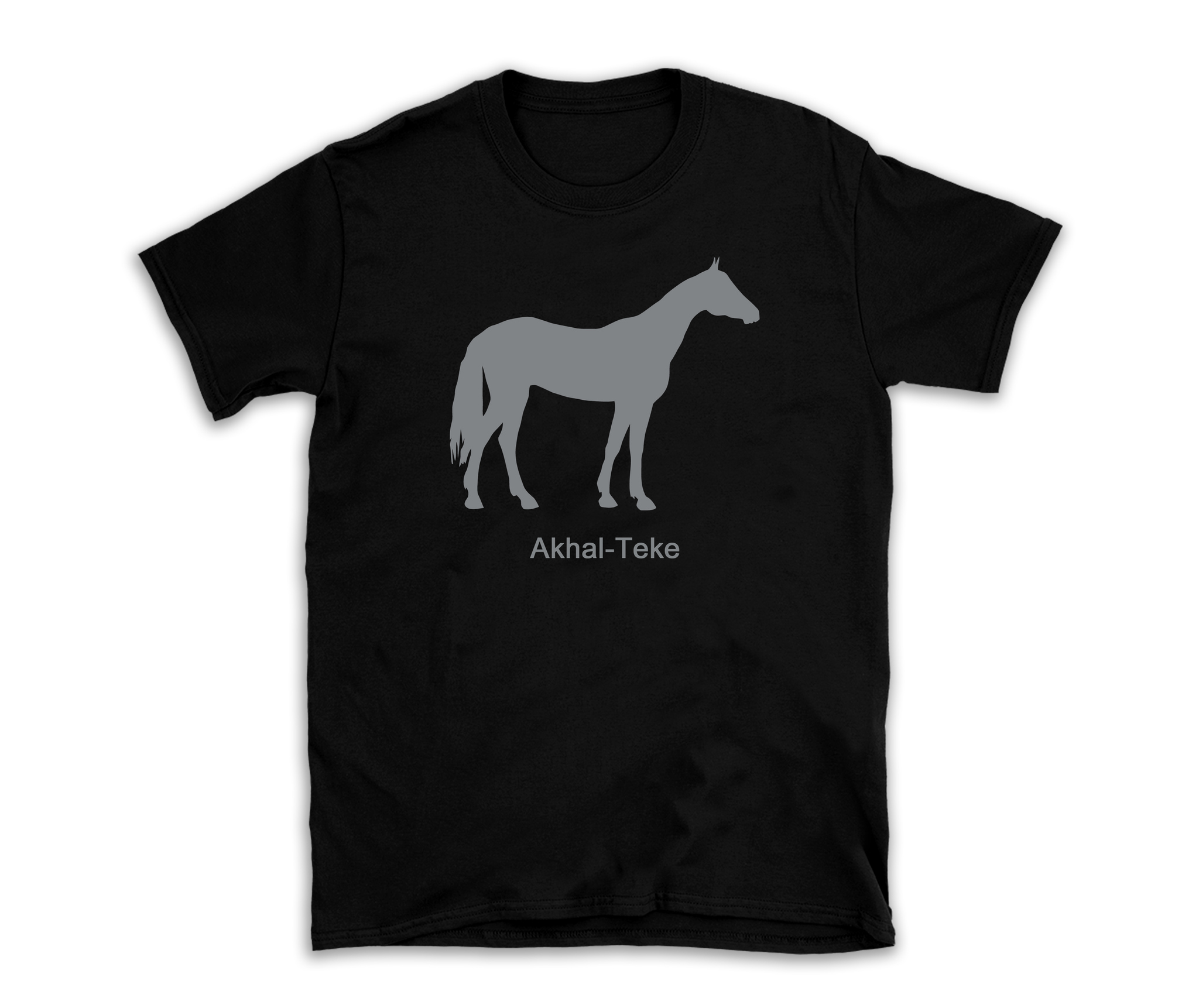 Achaltekeer Akhal-Teke Achal i Turkmenistan häst ras fullblodshäst fux brun svart skimmel gulanlag black tävlingshäst dressyr 17