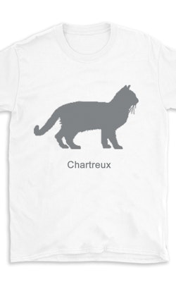 T-shirt kattras Chartreux