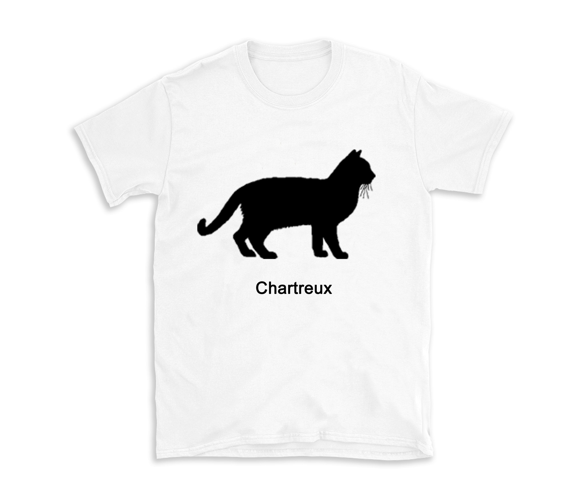 T-shirt kattras Chartreux