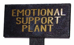 Blomskylt Emotional support plant guld